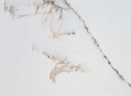 Technisches Detail: BIANCO RAMEGGIATO Griechischer polierte Natur, Marmor 