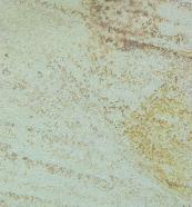 Technisches Detail: ARENISCA DE REGUMIEL Spanischer gesägte Natur, Sandstein 