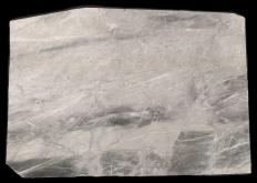 Lieferung geschliffene Unmaßplatten 2 cm aus Natur Marmor BARDIGLIO NUVOLATO CHIARO U0485. Detail Bild Fotos 