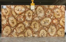 Lieferung polierte Unmaßplatten 0.8 cm aus Natur Halbedelstein PETRIFIED WOOD BROWN TL0142. Detail Bild Fotos 